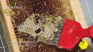 Apiculture : comment extraire le miel ? - Jardinerie Truffaut TV