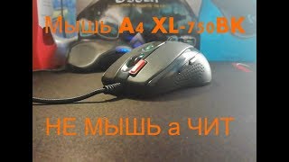 Обзор на мышь A4 XL-750BK