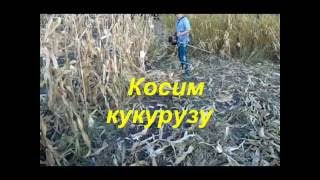 Как косить кукурузу мотокосой