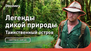 Таинственный остров | Легенды дикой природы | Discovery