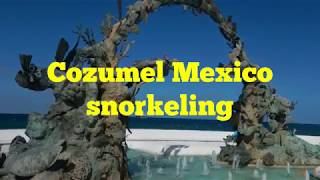 Great Snorkeling in Cozumel, Mexico ( December 2018)