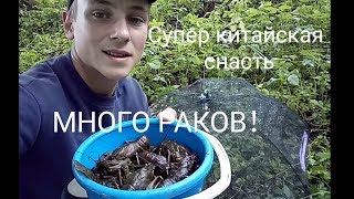 ЛОВЛЯ РАКОВ НА КИТАЙСКУЮ РАКОЛОВКУ, МНОГО РАКОВ