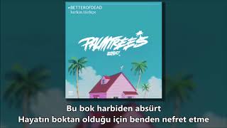 Flatbush Zombies - Palm Trees (Türkçe Çeviri)