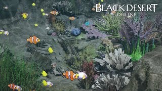 BLACK DESERT | EVENTO MISTERIOS ESTIVALES | AGUA | Gameplay en Español