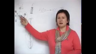 Трансфер фактор    Марина Кручинина часть 1