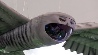 Птица высокого полёта! Дрон-сову показали на форуме "Армия-2019"