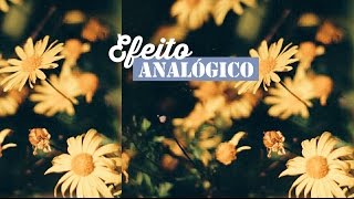 Efeito vintage / Analógico | Editar fotos no telemóvel | Tumblr