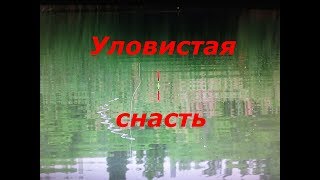 Оснастка для поплавочной удочки ( фидерная ) Чувствительная и уловистая снасть на летнюю удочку