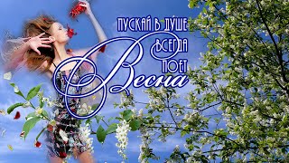 Музыкальный клип  слад шоу " Поздравление с 8 марта" Free project ProShow Producer