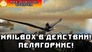 [ARK] Мобильная имба - MailBox! Приручаем Пелагорниса и расширяем загон!