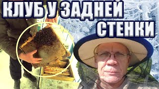 Зимняя ревизия пчел  Спасать пчел или нет