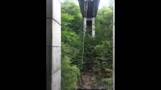 Monty Bungee Jumping