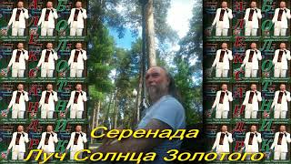 Александр Болотник Серенада Трубадура Луч Солнца Золотого 2017 #СеренадаТрубадура2017