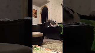 Измена. Пьяная жена угрожает. Каблук