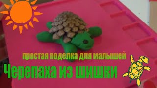 Поделка из пластилина и шишки. Черепаха