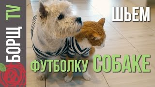 Одежда для собак из старых вещей | Как сшить одежду для собак своими руками