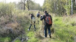 Лосиный остров. Как четыре оленя лосей искали