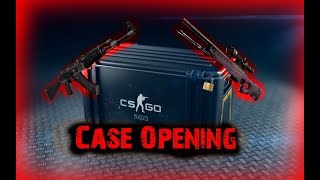 Case Opening !!! CS:GO