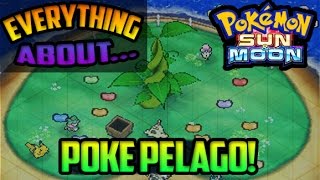 EVERYTHING You Need To Know About POKE PELAGO - Pokemon Sun And Moon Guide & Gameplay