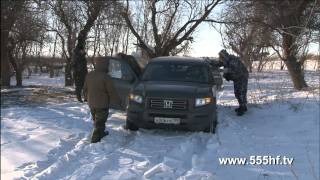 Охота на волка.Астрахань.