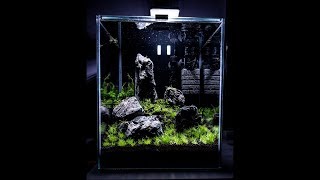 Aquael 30L Krewetkarium zakładanie - Aquael 30L Setting up a shrimp tank