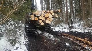 Возим лес с болота