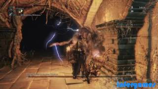 Bloodborne - Серебряное чудовище Лорана (Loran Silverbeast) чаша с русс. комментариями