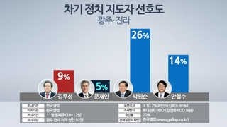 '호남서 5%-TK서 급락'?…'들쑥날쑥 여론조사' 믿을만한가