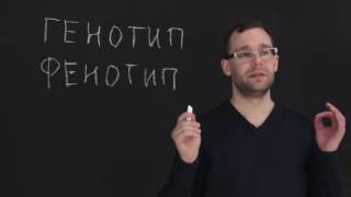 Первый и второй законы Менделя. Естествознание 3.2