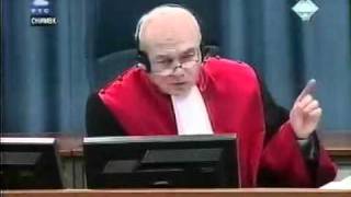 Војислав Шешељ - Сведок (Т) Рејно Туненс 53/105