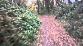 KTM Freeride 350 Combe Bottom to Fontmell Magna ORPA 24 11 2013
