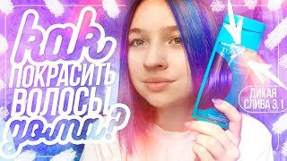 КАК ПОКРАСИТЬ ВОЛОСЫ В СИНИЙ ЦВЕТ ТОНИКОЙ?\\ОТТЕНОК ДИКАЯ СЛИВА 3.1