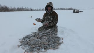 Уже не ПЕРВЫЙ ЛЁД 2019-20! ЛОВЛЯ ГОРБАЧЕЙ ЗИМОЙ НА БЛЕСНУ И МОРМЫШКУ!