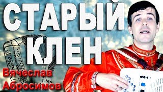 ♫♫♫ САМАЯ ДУШЕВНАЯ ПЕСНЯ! Старый клен под баян