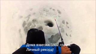 2 января 2014. Зимняя рыбалка. Камское устье, ловля судака и берша.