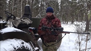 ОХОТА В ГУСТОМ ЛЕСУ / ТАЙГА КОМИ РЕСПУБЛИКИ / КРАЙНИЙ СЕВЕР.