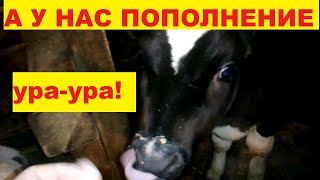 Купили Гаврюшку! Пополнение в хозяйстве! Многодетная семья в селе!
