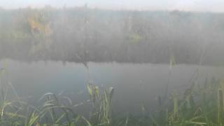 Річка Стир. Об'єктив запотіває.