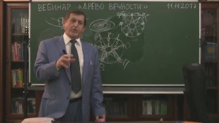 11.11.2017 Вебинар «Древо Вечности»