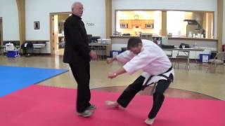 Steve Aldus - Tai Chi Chuan Demonstration