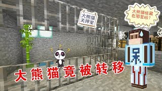 【呆呆cute】我的世界：熊孩子直捣盗贼巢穴，可惜来迟一步，大熊猫却被转移走