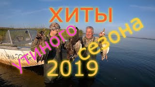 ОХОТА НА УТКУ. ЛУЧШИЕ ЭПИЗОДЫ. ХИТЫ сезона охоты на утку 2019 года.