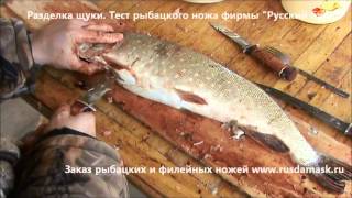 Разделка щуки