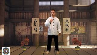 Curso gratuito de zhan zhuang, "El guerrero silencioso". Postura Wu Ji