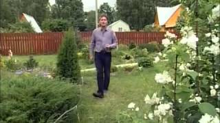 Как сделать освещение дачного участка - подсветка садовых дорожек