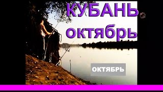 Рыбалка. река Кубань. Ловля на донку с кормушкой, насадка: сало, опарыш, кукуруза. Fishing