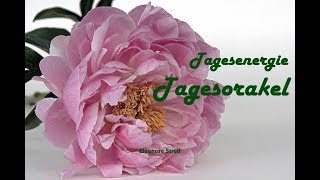 Tagesorakel - Samstag 26.05.2018