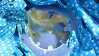 Весенняя подкормка пчел сахарным сиропом Spring improving top dressing of bees