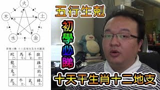 算命教學 淺談五行生剋、十天干、十二地支、十二生肖。