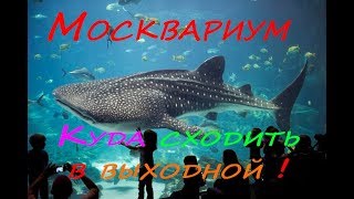Москвариум на ВДНХ, Москва. (Oceanarium in Moscow)